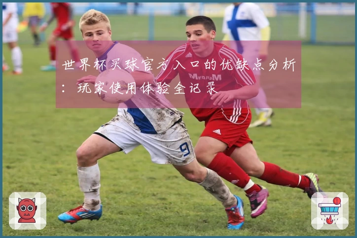 世界杯买球官方入口的优缺点分析：玩家使用体验全记录