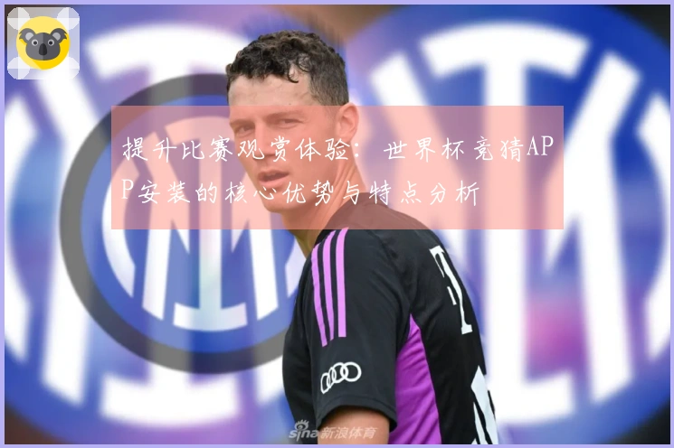 提升比赛观赏体验：世界杯竞猜APP安装的核心优势与特点分析
