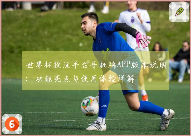 世界杯投注平台手机端APP版本说明：功能亮点与使用体验详解