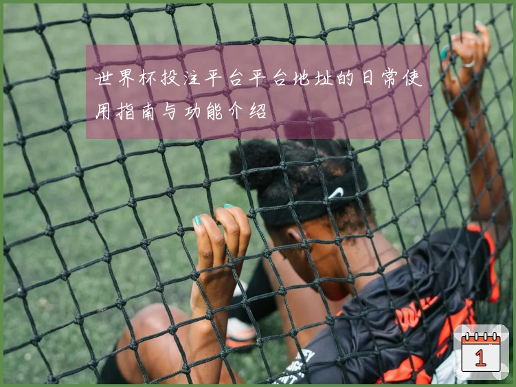 世界杯投注平台平台地址的日常使用指南与功能介绍