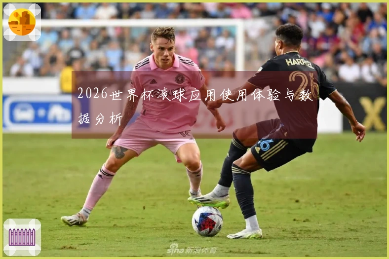 2026世界杯滚球应用使用体验与数据分析