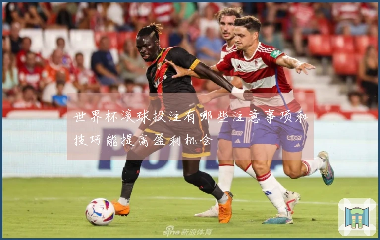 世界杯滚球投注有哪些注意事项和技巧能提高盈利机会
