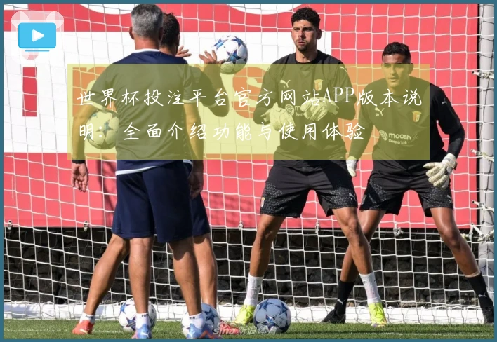 世界杯投注平台官方网站APP版本说明：全面介绍功能与使用体验