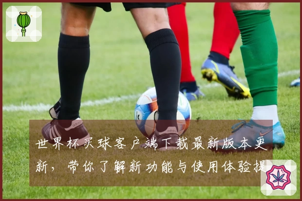 世界杯买球客户端下载最新版本更新，带你了解新功能与使用体验提升