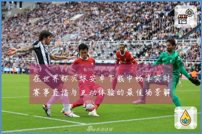 在世界杯买球安卓下载中畅享实时赛事直播与互动体验的最佳场景解析