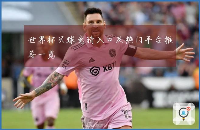 世界杯买球竞猜入口及热门平台推荐一览