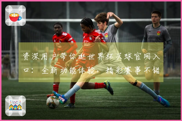 资深用户带你逛世界杯买球官网入口：全新功能体验，精彩赛事不错过
