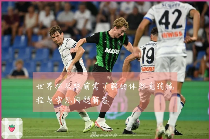 世界杯买球前需了解的体彩竞猜流程与常见问题解答