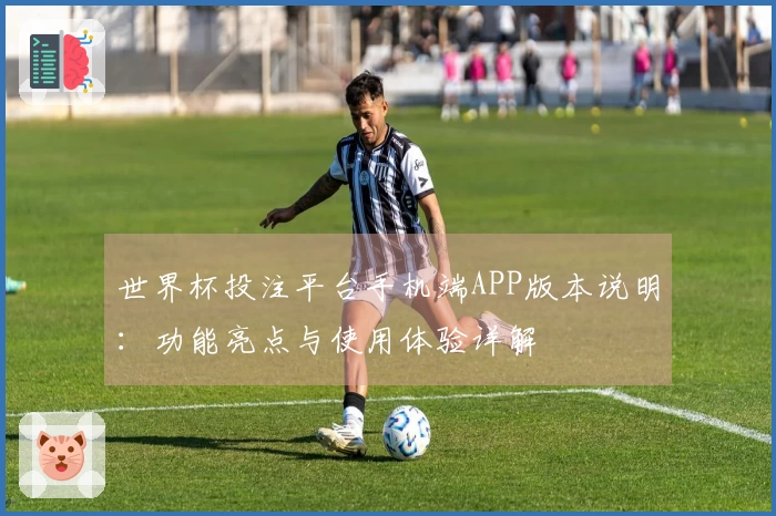 世界杯投注平台手机端APP版本说明：功能亮点与使用体验详解