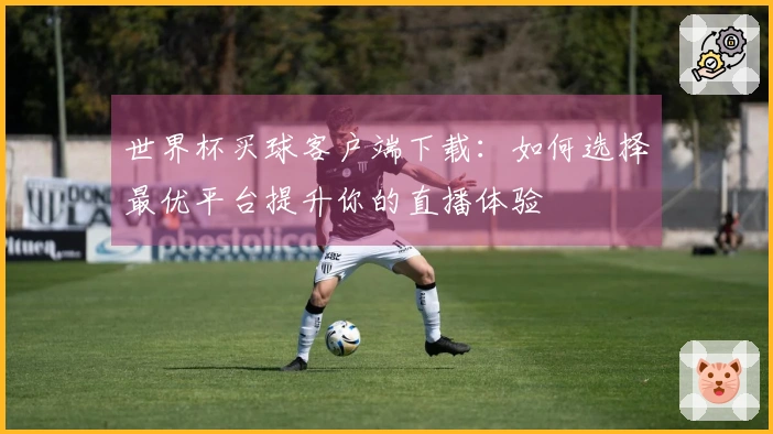 世界杯买球客户端下载：如何选择最优平台提升你的直播体验